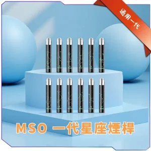 MSO 爅嘶 十二星座發光電子煙主機｜金屬拉絲＋LED呼吸燈｜通用一代磁吸煙彈